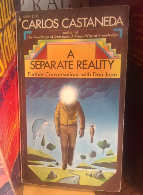 洋書　A Separate Reality Carlos Castaneda A Separate Reality: Castaneda, Carlos: 9780671732493: Amazon